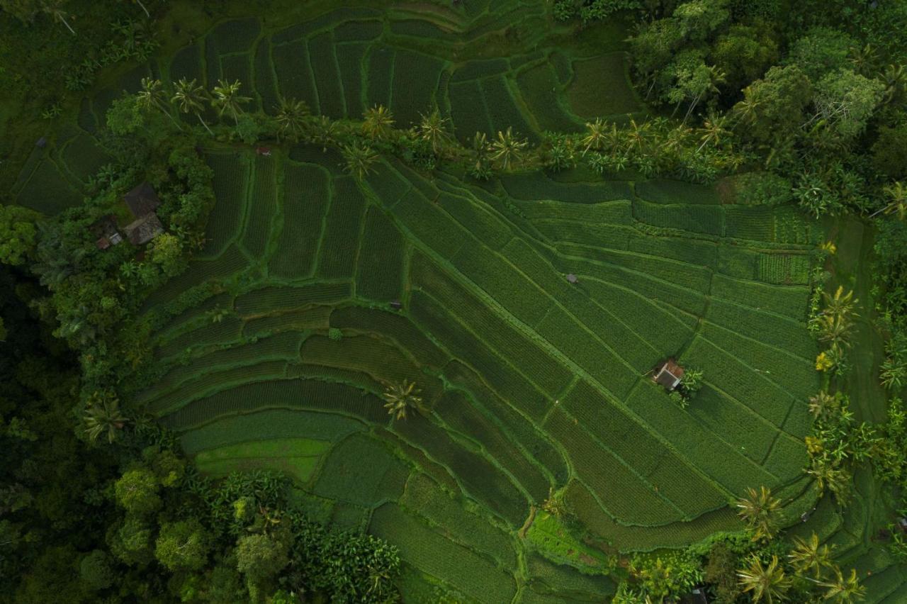 Hotel Adiwana Suweta Ubud Exterior foto Aerial view of a rice paddy in Bali, Indonesia